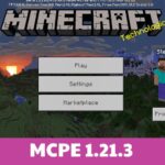Minecraft 1.21.3