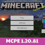 Minecraft 1.20.81