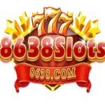 8638 Slots