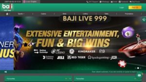 Baji999 screenshot 4