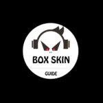 Box Skin