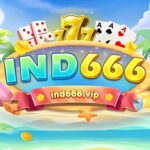 IND666