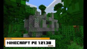 Minecraft 1.21.30.03 screenshot 1