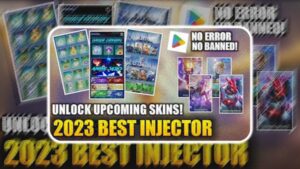 RDM87 Injector screenshot 1