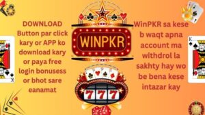 WINPKR screenshot 1