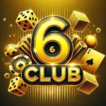 6 Club Login