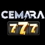 Cemara777