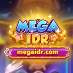 MegaIDR
