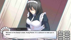 Maid Mansion screenshot 3