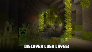 Minecraft 1.21.44.01 screenshot 4