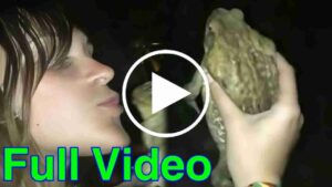 One Girl One Frog screenshot 1