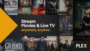 Desi Cinema TV screenshot 2