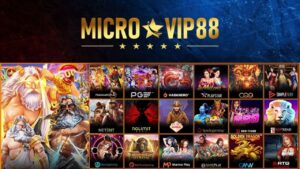 Microvip88 screenshot 1