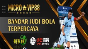 Microvip88 screenshot 2