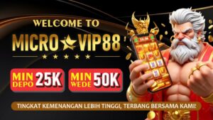 Microvip88 screenshot 3