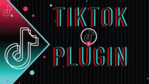 TikTok Plugin screenshot 1