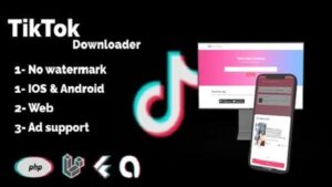 TikTok Plugin screenshot 2