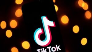TikTok Plugin screenshot 3