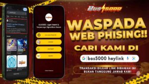 BOS5000 screenshot 3