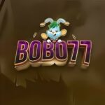Bobo77