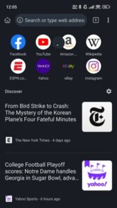 Kiwi Browser screenshot 1