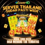 Sawer4D