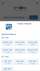 YTmp3 screenshot 2