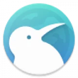 Kiwi Browser