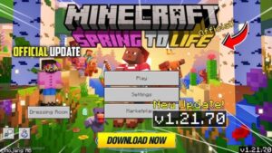 Minecraft 1.21.70 screenshot 1