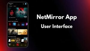 NetFree.cc screenshot 4