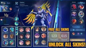 ML Skin Injector screenshot 1