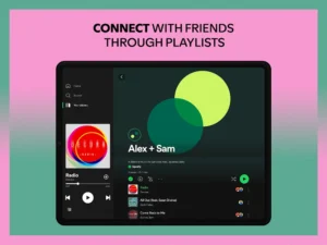 Spotify Premium screenshot 12