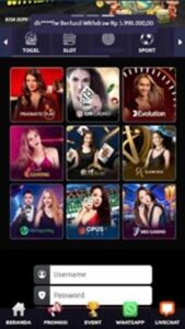 KAWAT4D screenshot 4