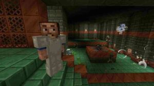 Minecraft 1.21.3 screenshot 2
