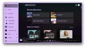 Spicetify screenshot 2