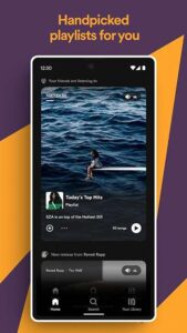 Spotify Premium 9.0.36.697 screenshot 4