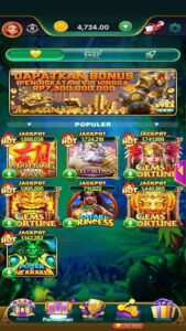 WIN IDN screenshot 2