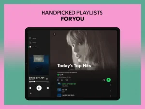 Spotify Premium screenshot 17
