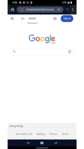 FordBrowser screenshot 3