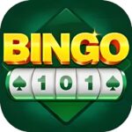 Bingo 101