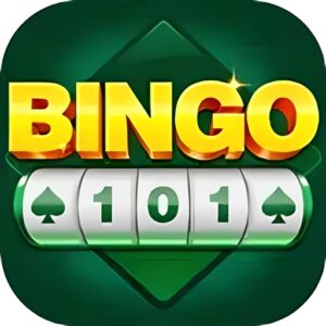 Bingo 101