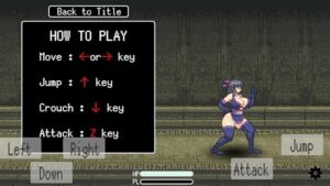 Shinobi Girl Mini screenshot 4